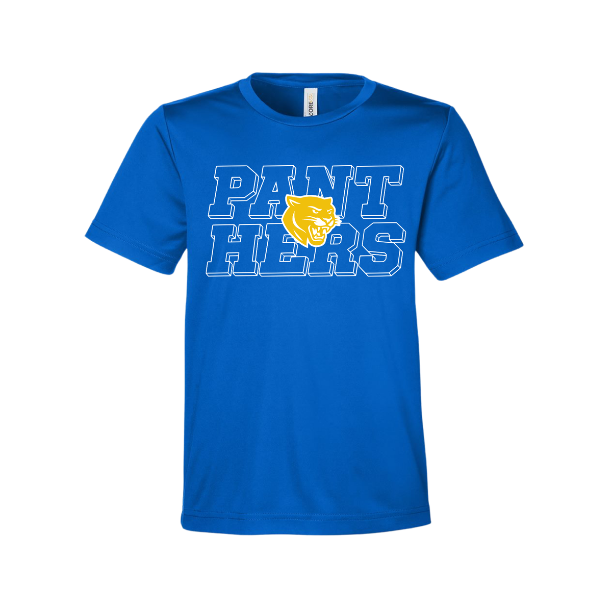 Panthers Outline Performance T-Shirts (Dri-Fit)