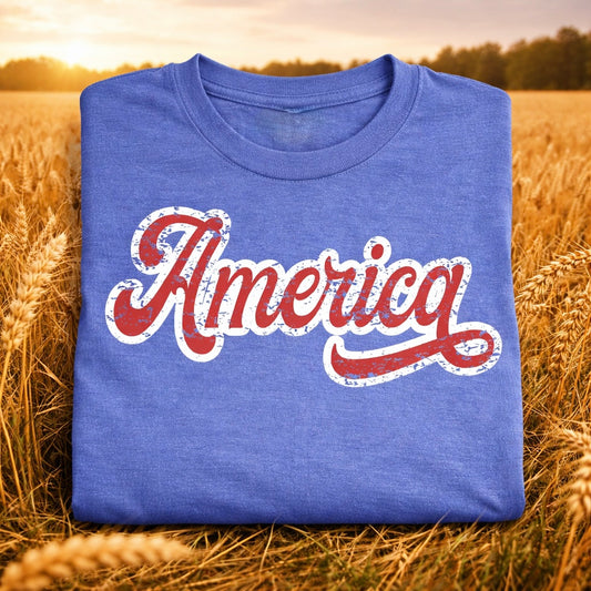 Flo Blue America Distressed Letters
