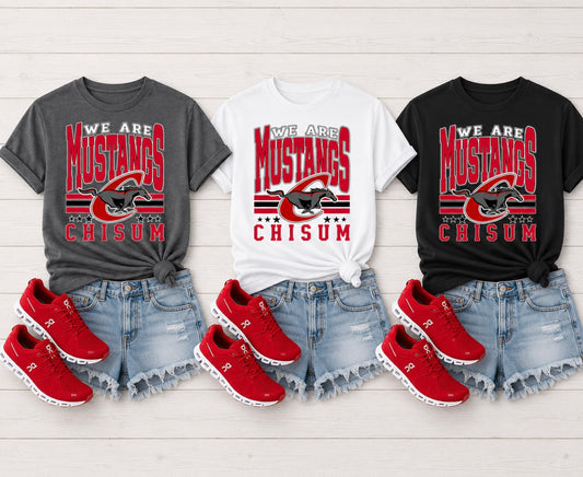 We Are The Mustangs