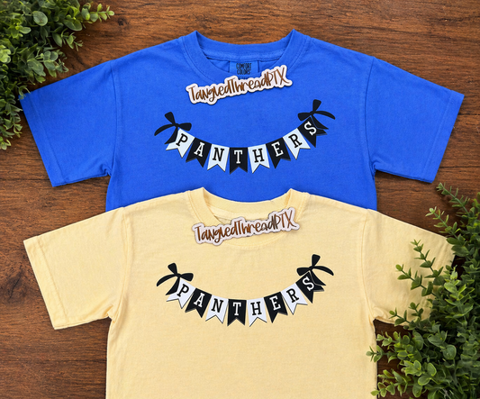 Panthers Banner & Bows