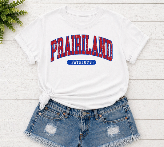Prairiland - Distressed - White Gildan