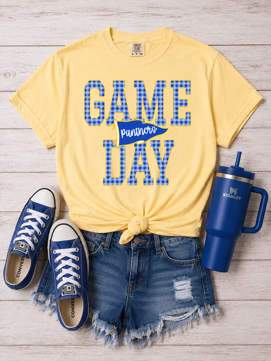 Game Day Gingham Pennants - Panthers